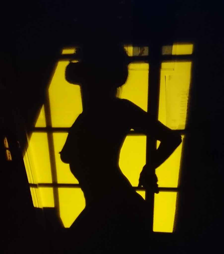 Profile photo of Midnight Dancer