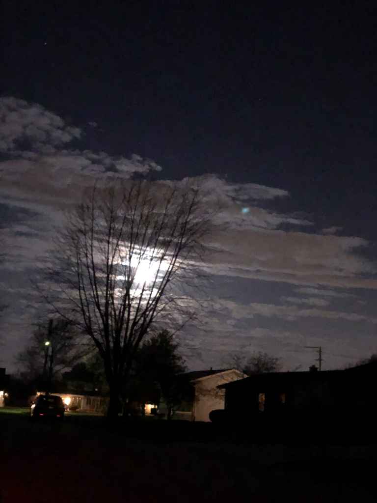 Profile photo of Astramatas