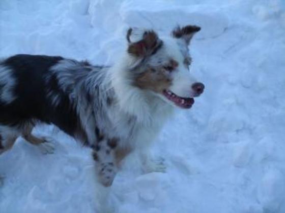 Profile photo of finagel