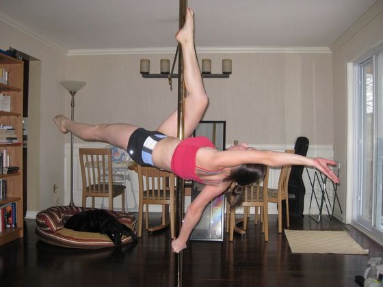 Profile photo of Polkadotpoler