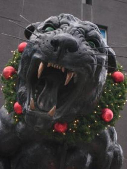 Profile photo of Moorehead