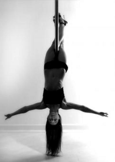 Profile photo of Polar