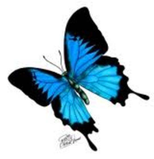 Profile photo of Ulysses