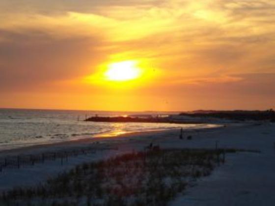 Profile photo of polekitty22