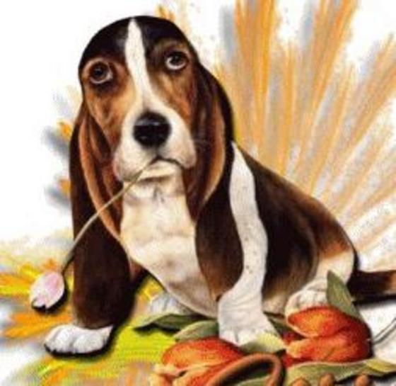 Profile photo of sissy69