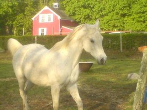 Profile photo of Mandy65