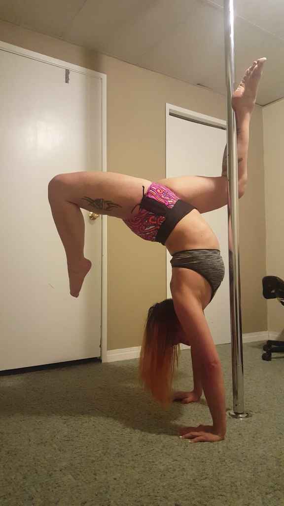 Profile photo of FischNet