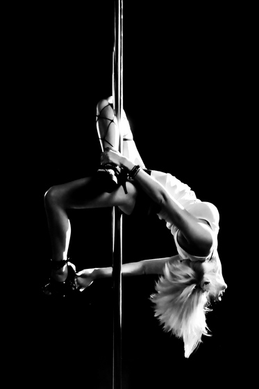 Profile photo of TigerLilySarah