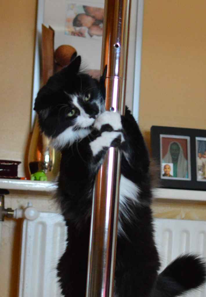 Profile photo of amatu