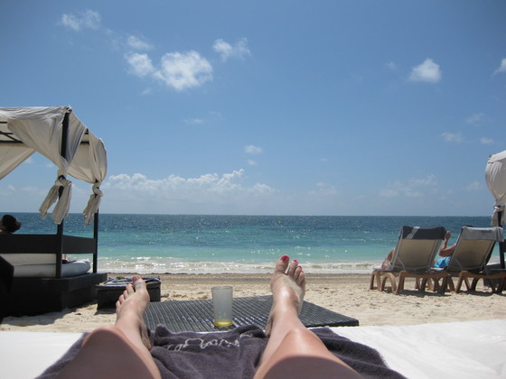 Profile photo of geckofoot