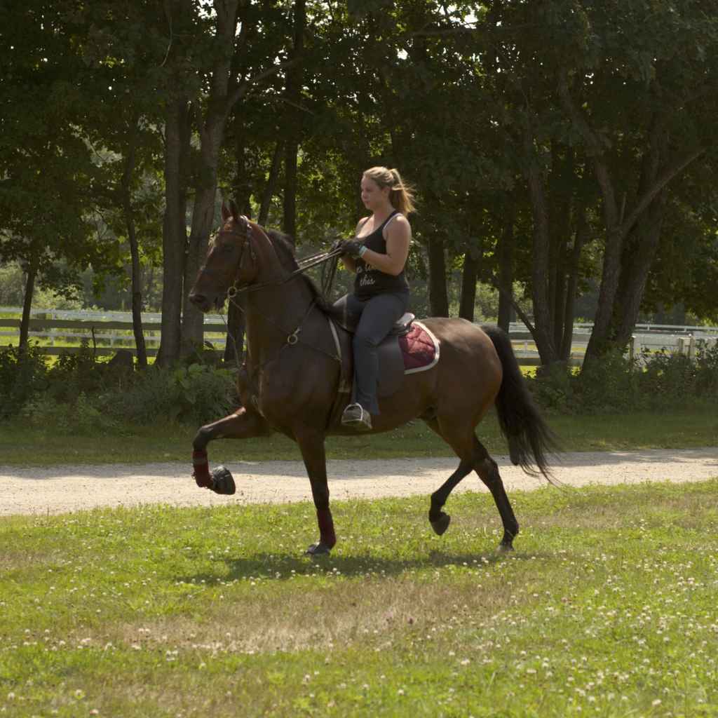 Profile photo of Sugarfoot