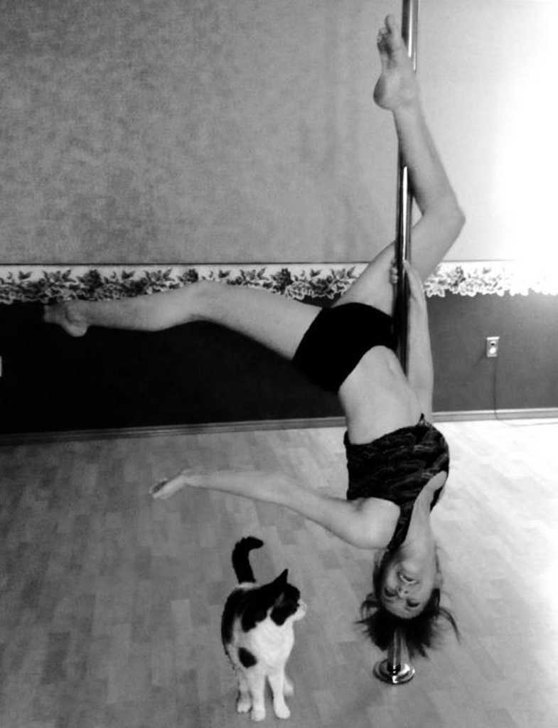 Profile photo of blondierat