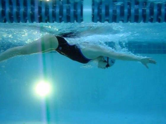 Profile photo of junebugswims