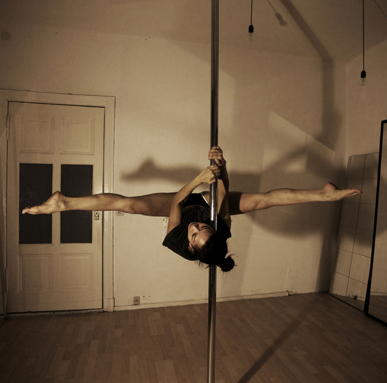 Profile photo of Whitepony