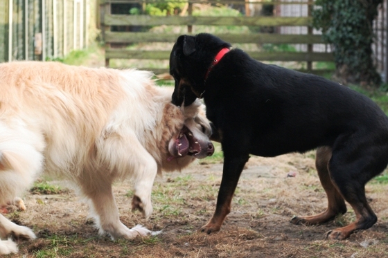 Profile photo of karlyr