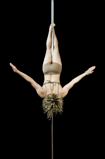 Profile photo of corkscrewedpoler