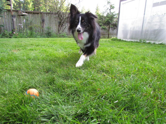 Profile photo of Amandak