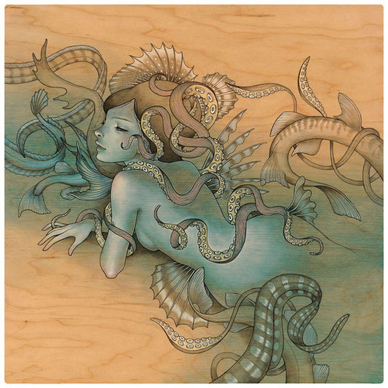 Profile photo of zappja