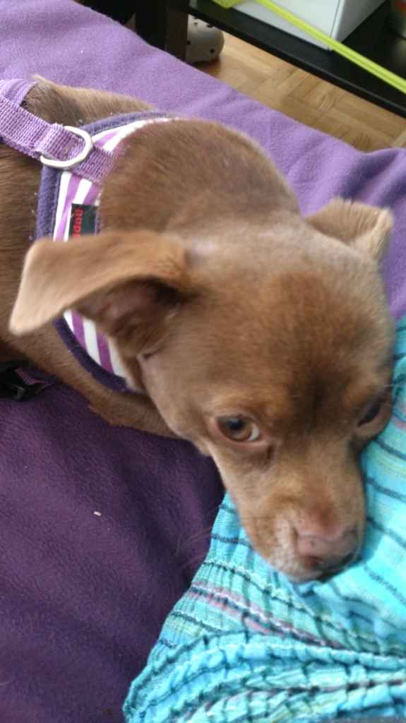 Profile photo of Habibti03