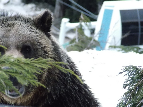 Profile photo of Hagface