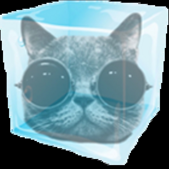 Profile photo of ecxpandy