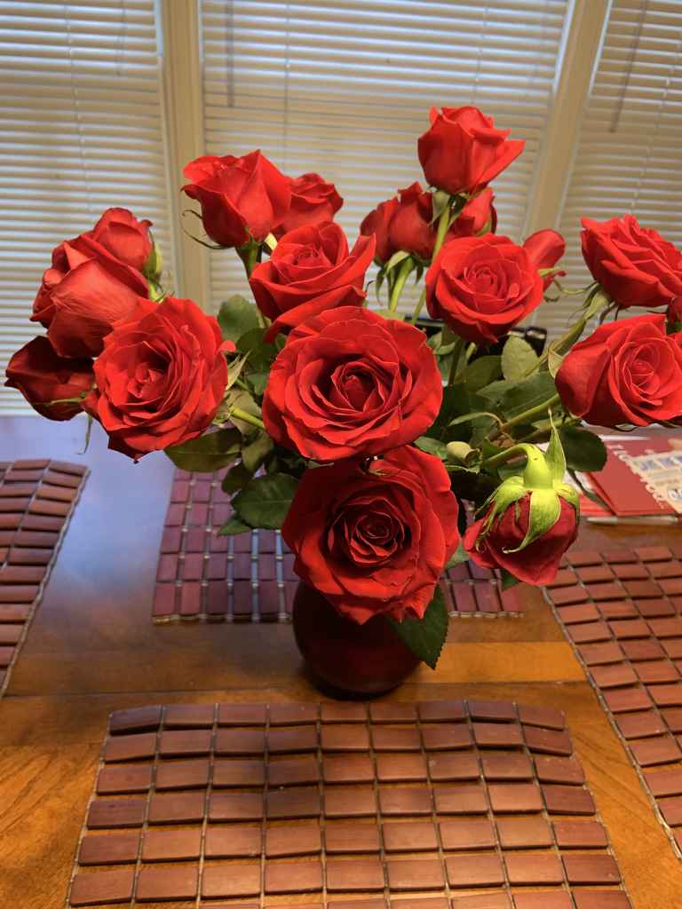 Profile photo of Legs4Days