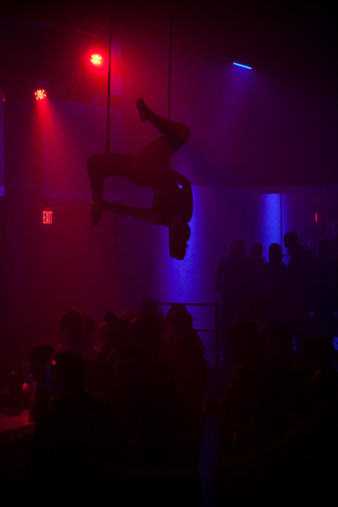 Profile photo of briarose