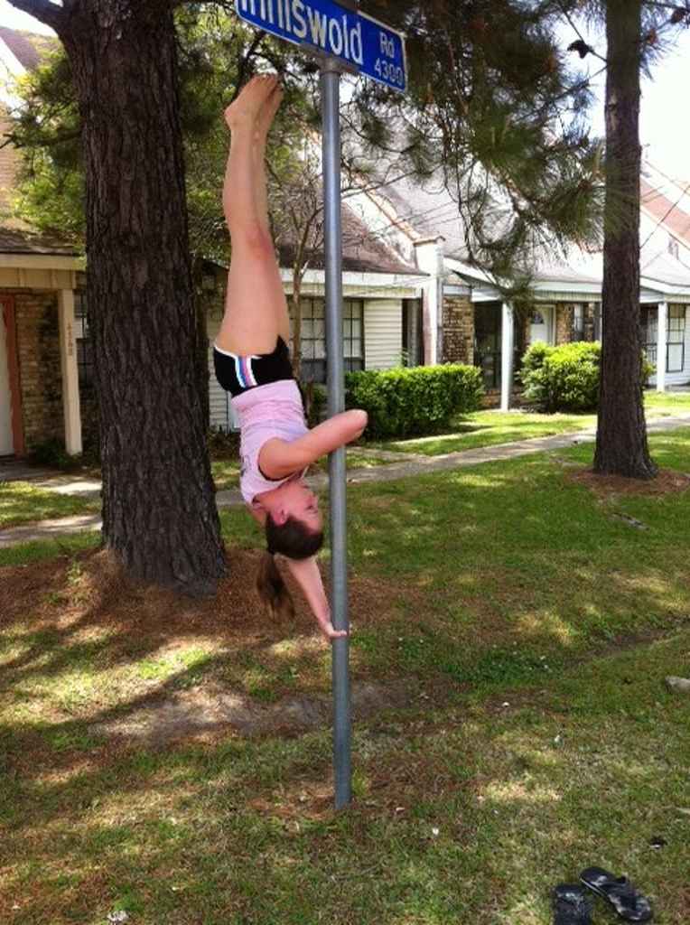 Profile photo of llforman7