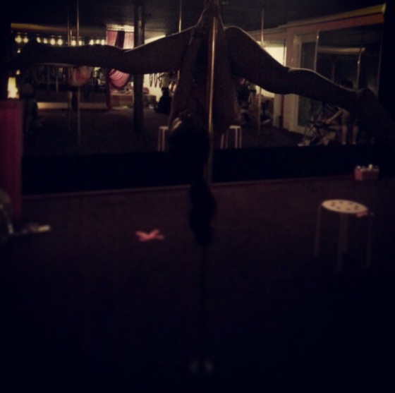 Profile photo of junkie