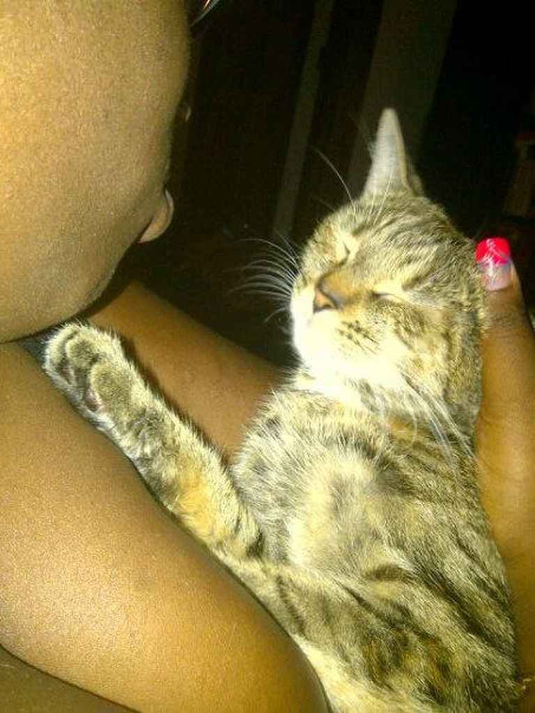 Profile photo of BklynBettyBoop