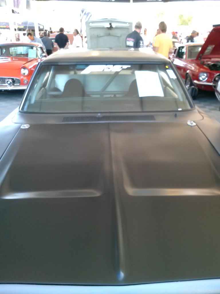 Profile photo of starstunta2389