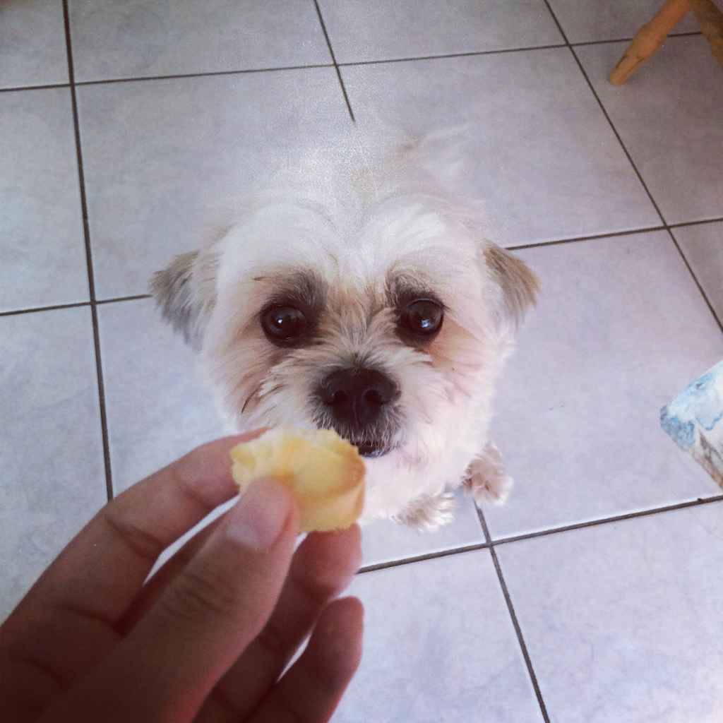 Profile photo of miffie