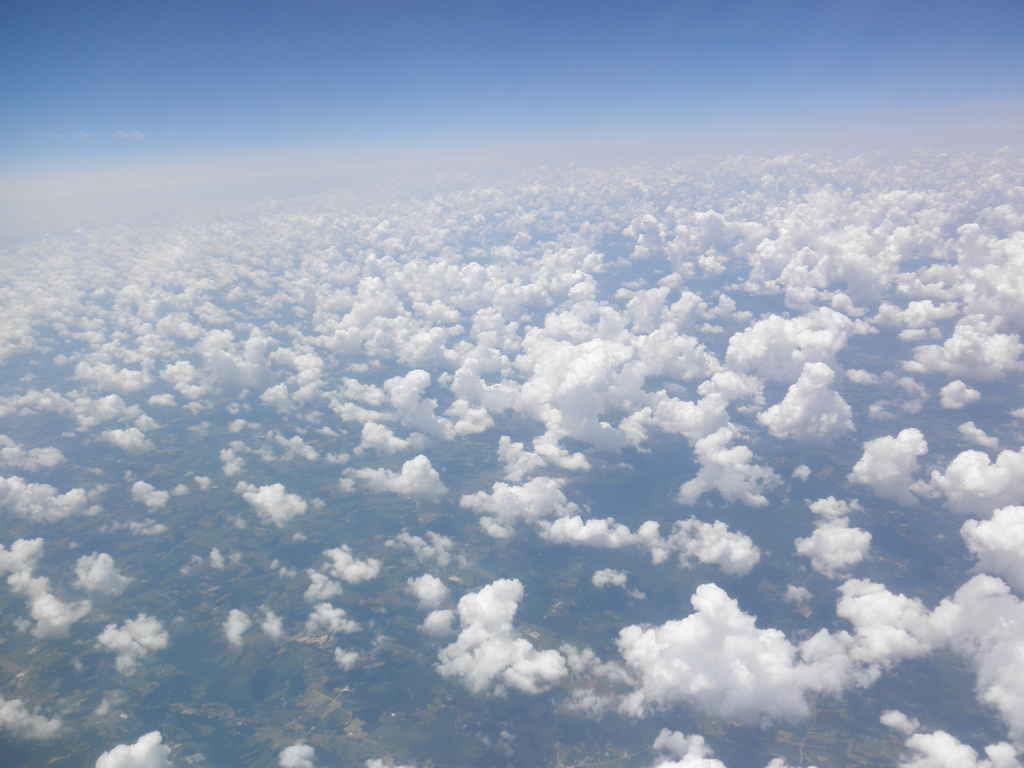 Profile photo of Tamenrud8523