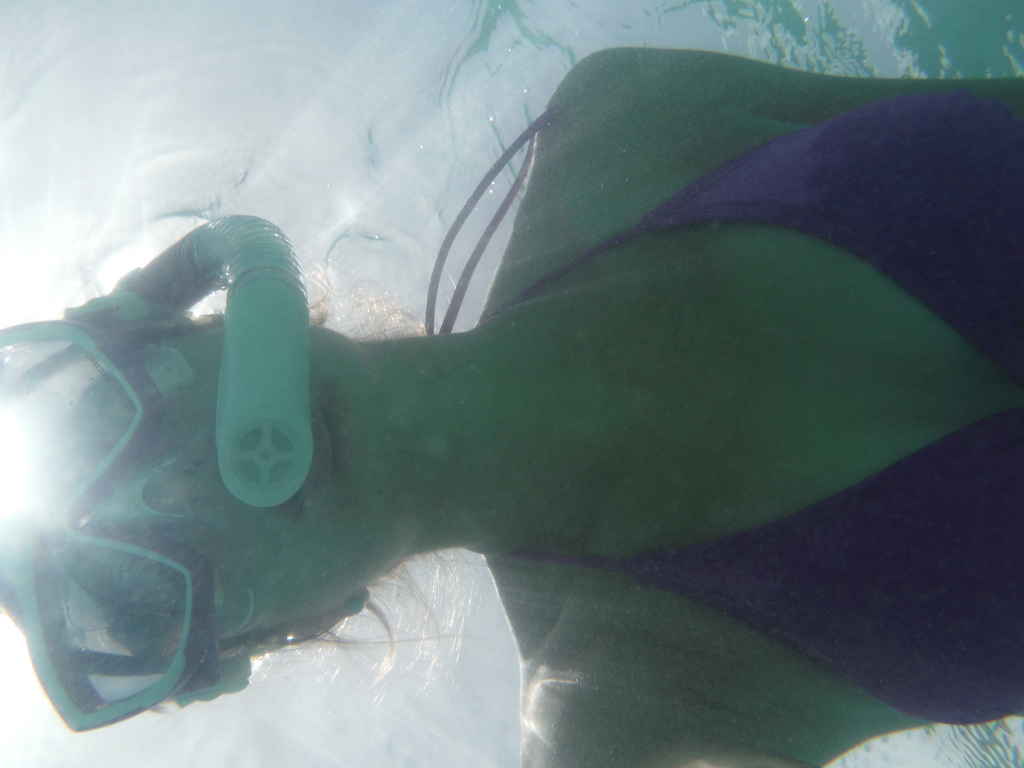 Profile photo of kelleyhaley126277