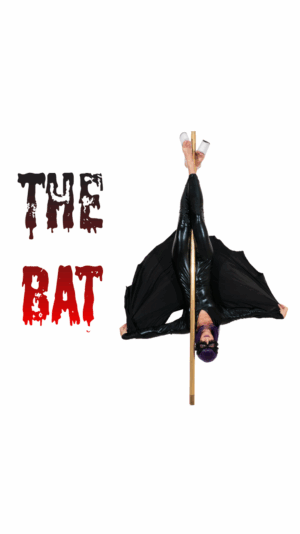 The bat IG