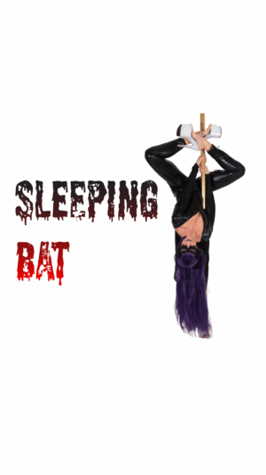 Sleeping bat IG